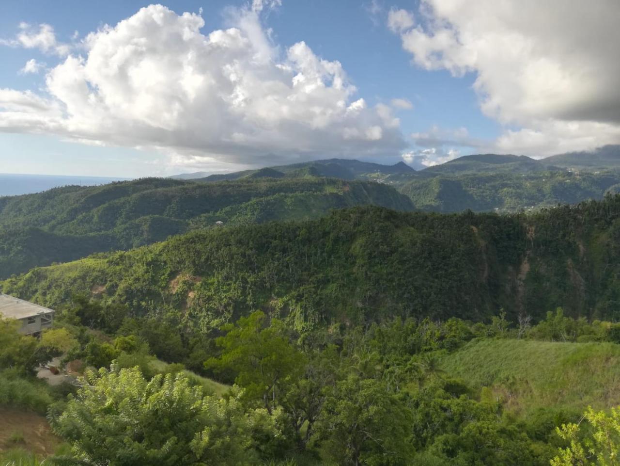 Matthew'S Miracle View Bed and Breakfast Ροζό Εξωτερικό φωτογραφία