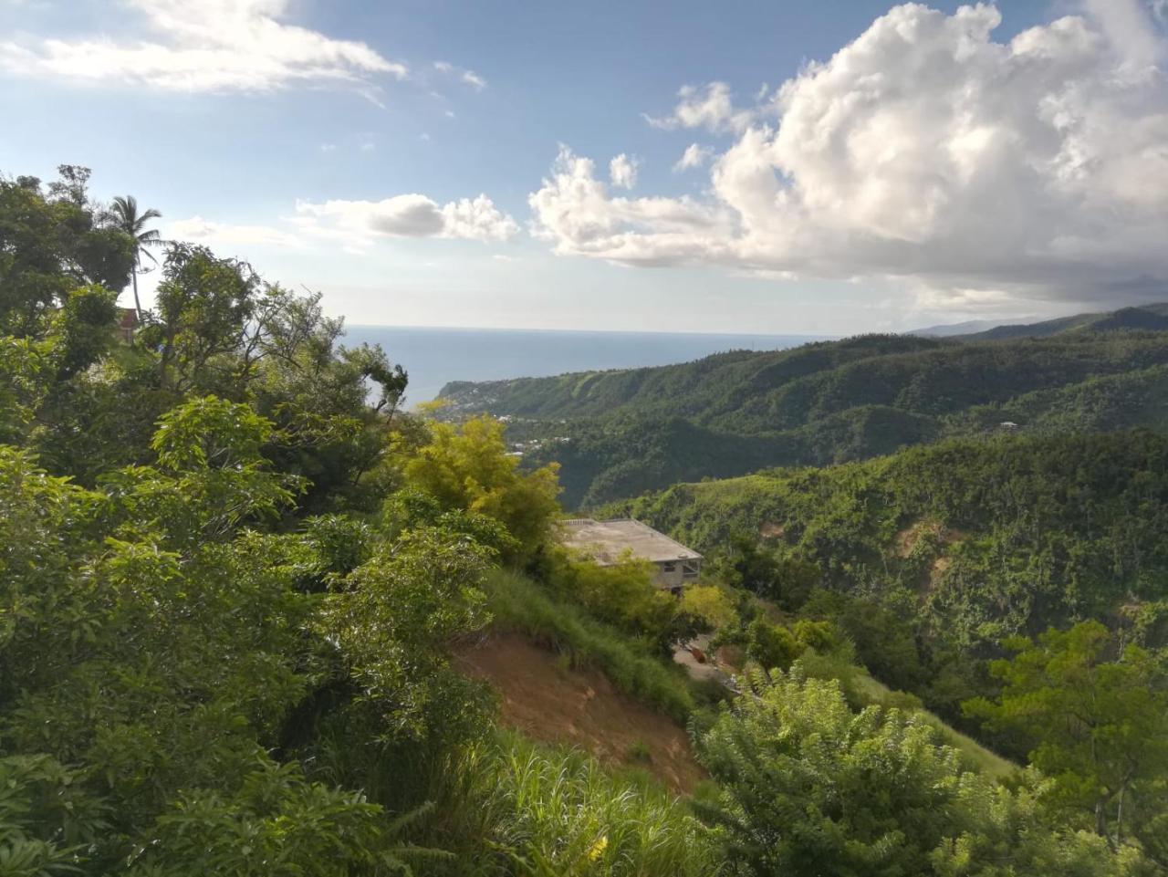 Matthew'S Miracle View Bed and Breakfast Ροζό Εξωτερικό φωτογραφία
